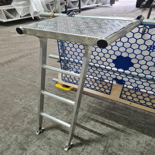 Scaffold Step